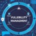 vulnerability management process