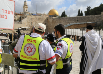 ae8ef1f9 d709 4ef2 8d17 17aba40328d6