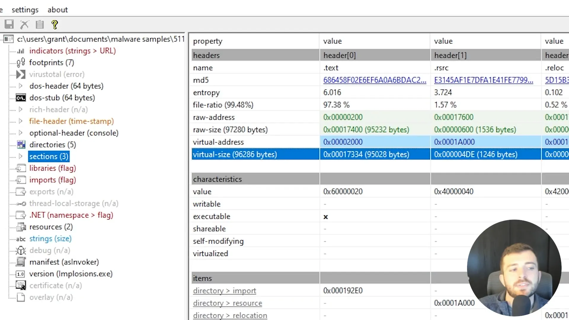 אופן פעולת רוגלת Redline