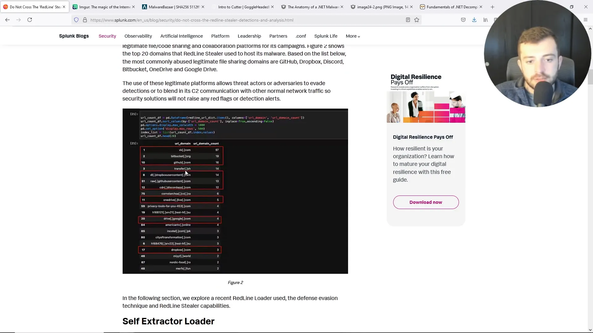 מחקר על רוגלות מידע